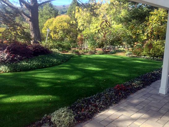 Artificial Grass Photos: Grass Carpet Rossmoor, California Home And Garden, Small Backyard Ideas