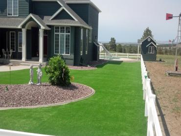 Artificial Grass Photos: Grass Installation Hermosa Beach, California Gardeners, Front Yard