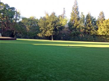 Artificial Grass Photos: Grass Turf Highland, California Gardeners, Recreational Areas