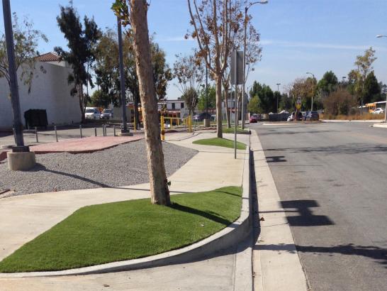 Artificial Grass Photos: Grass Turf Lakewood, California Landscape Design, Commercial Landscape