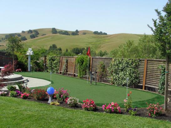 Artificial Grass Photos: Grass Turf West Rancho Dominguez, California Backyard Putting Green, Backyard Design