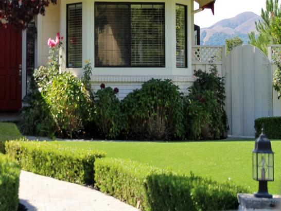 Artificial Grass Photos: Green Lawn Home Gardens, California Garden Ideas, Front Yard