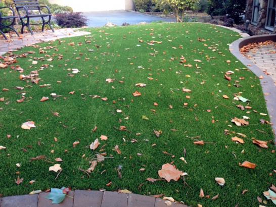 Artificial Grass Photos: How To Install Artificial Grass Claremont, California Roof Top, Front Yard