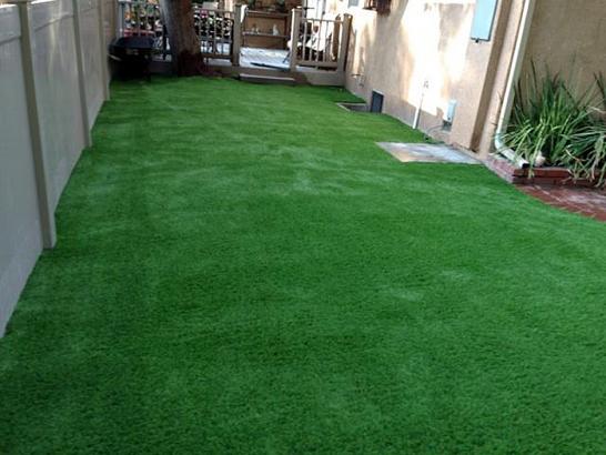 Artificial Grass Photos: How To Install Artificial Grass Compton, California Home And Garden, Beautiful Backyards
