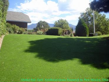 Installing Artificial Grass Oceanside, California Garden Ideas, Backyard artificial grass