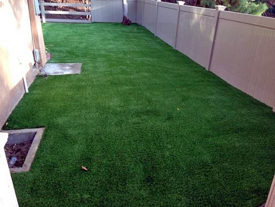 Installing Artificial Grass Torrance, California Pet Grass, Small Backyard Ideas artificial grass
