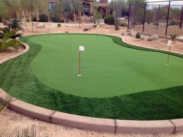 Artificial Grass Photos: Lawn Services North Hollywood, California Putting Green Grass, Backyard Landscaping