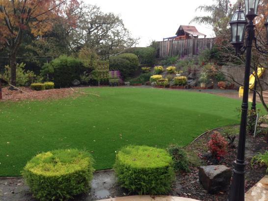 Artificial Grass Photos: Lawn Services Yorba Linda, California City Landscape, Small Backyard Ideas