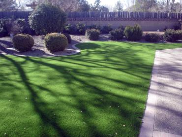 Artificial Grass Photos: Outdoor Carpet Avocado Heights, California Design Ideas, Front Yard Landscaping Ideas