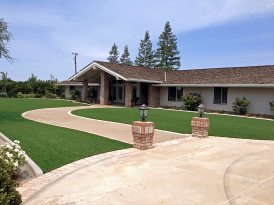 Artificial Grass Photos: Outdoor Carpet Castaic, California Landscaping Business, Front Yard Design