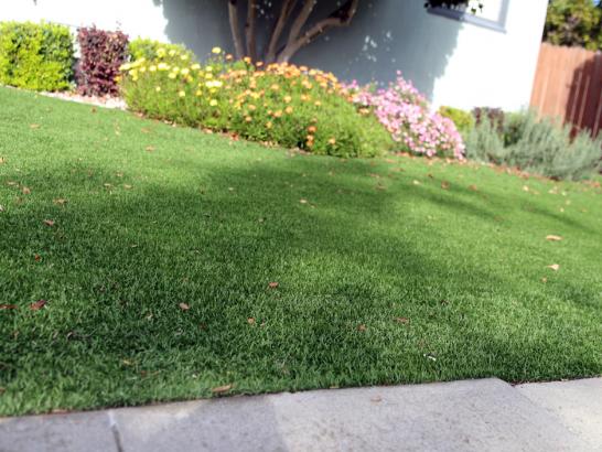 Artificial Grass Photos: Outdoor Carpet Lomita, California Gardeners, Front Yard