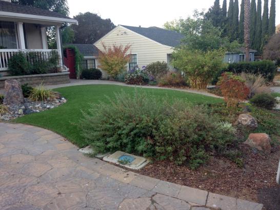 Artificial Grass Photos: Outdoor Carpet Oak Glen, California Paver Patio, Small Front Yard Landscaping