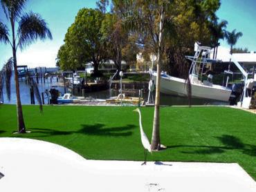 Artificial Grass Photos: Plastic Grass La Jolla, California Design Ideas, Small Backyard Ideas