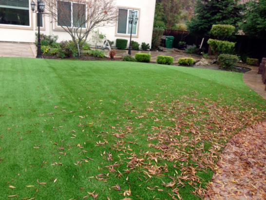 Artificial Grass Photos: Plastic Grass La Mirada, California Lawn And Garden, Backyard Landscape Ideas