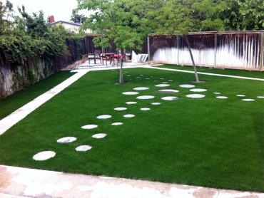 Plastic Grass Pedley, California Lawn And Garden, Backyards artificial grass