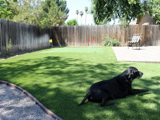 Artificial Grass Photos: Synthetic Grass Camp Pendleton South, California Cat Playground, Backyard Garden Ideas