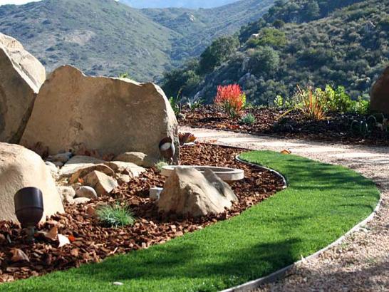 Artificial Grass Photos: Synthetic Grass Cost Apple Valley, California Landscape Ideas, Front Yard Landscaping Ideas