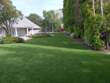 Artificial Grass Photos: Synthetic Grass Cost Burbank, California Gardeners, Front Yard Ideas