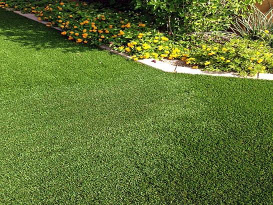 Artificial Grass Photos: Synthetic Grass Cost Cypress, California Design Ideas, Front Yard Design