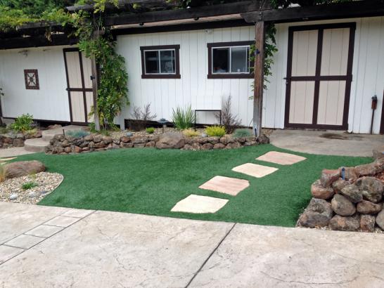 Artificial Grass Photos: Synthetic Grass Cost Foothill Ranch, California Rooftop, Small Front Yard Landscaping