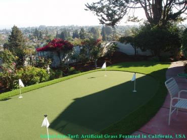 Artificial Grass Photos: Synthetic Grass Encinitas, California Golf Green, Backyard Makeover
