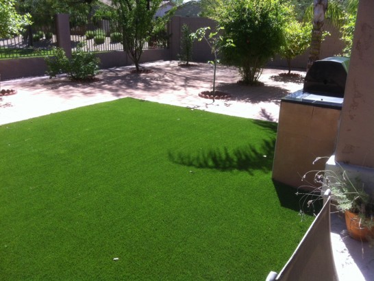 Artificial Grass Photos: Synthetic Grass Murrieta, California Fake Grass For Dogs, Beautiful Backyards