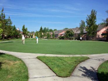 Artificial Grass Photos: Synthetic Lawn Calexico, California Home Putting Green, Commercial Landscape
