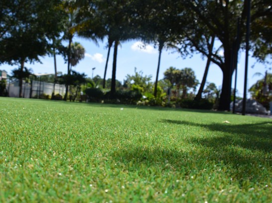 Artificial Grass Photos: Synthetic Lawn Dana Point, California Lawn And Landscape, Recreational Areas