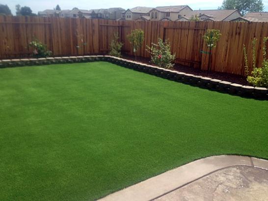 Artificial Grass Photos: Synthetic Lawn Fontana, California Home And Garden, Backyard Ideas