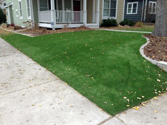 Artificial Grass Photos: Synthetic Lawn Idyllwild, California Lawn And Garden, Landscaping Ideas For Front Yard