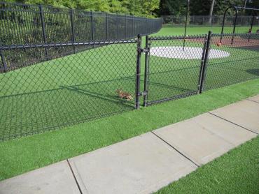 Artificial Grass Photos: Synthetic Lawn La Puente, California Kids Indoor Playground, Parks