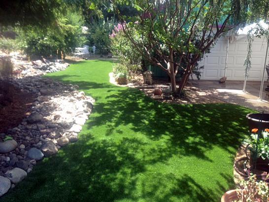 Artificial Grass Photos: Synthetic Lawn Palm Desert, California Landscaping Business, Small Backyard Ideas