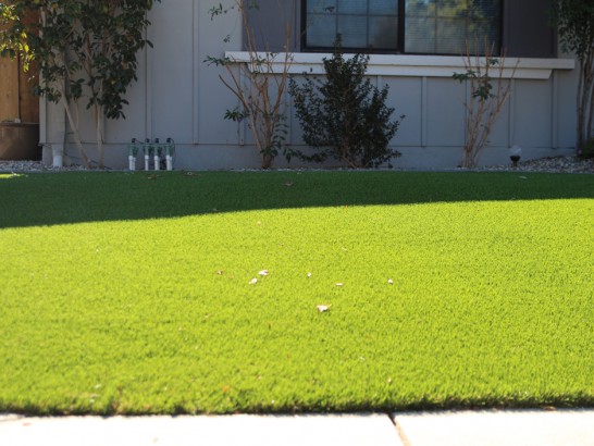 Artificial Grass Photos: Synthetic Lawn San Clemente, California Design Ideas, Front Yard Landscape Ideas