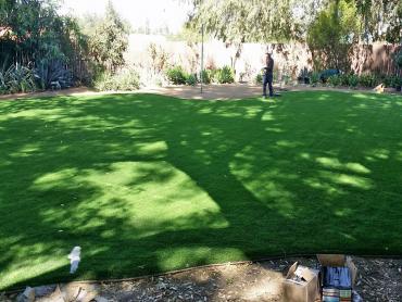 Artificial Grass Photos: Synthetic Lawn Temecula, California Lawn And Garden, Backyard Designs