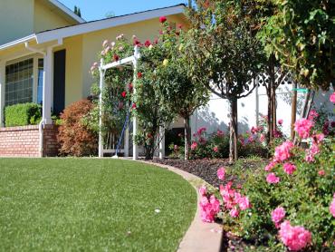 Artificial Grass Photos: Synthetic Turf Eucalyptus Hills, California Design Ideas, Front Yard Landscaping
