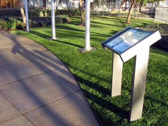 Artificial Grass Photos: Synthetic Turf La Verne, California Landscape Design, Recreational Areas