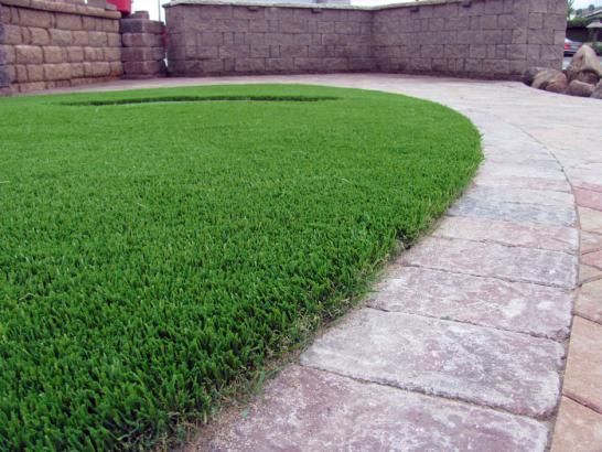 Artificial Grass Photos: Synthetic Turf Mead Valley, California Dog Grass, Pavers