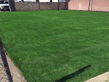 Artificial Grass Photos: Synthetic Turf Supplier Altadena, California Backyard Soccer