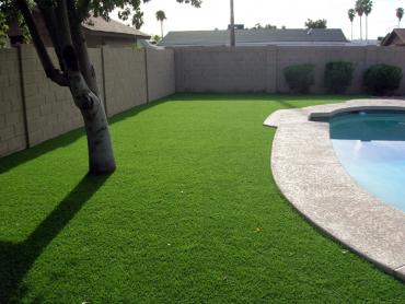 Artificial Grass Photos: Synthetic Turf Supplier Barstow Heights, California Landscape Ideas, Backyard Pool