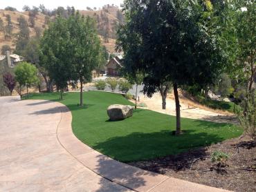 Artificial Grass Photos: Synthetic Turf Supplier Garnet, California Backyard Deck Ideas, Front Yard Design