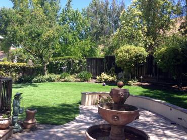 Artificial Grass Photos: Synthetic Turf Supplier Imperial Beach, California Lawn And Landscape, Backyard