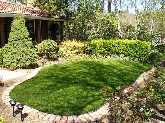 Artificial Grass Photos: Synthetic Turf Supplier San Marino, California City Landscape, Backyard Designs