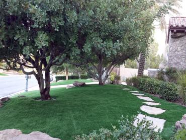 Artificial Grass Photos: Synthetic Turf Supplier South San Gabriel, California Design Ideas, Front Yard Landscape Ideas
