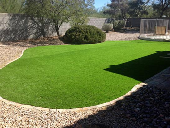 Artificial Grass Photos: Synthetic Turf Supplier Stanton, California Landscape Design, Backyard