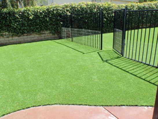 Artificial Grass Photos: Synthetic Turf Supplier Westmorland, California Drainage, Front Yard