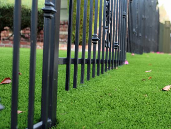 Artificial Grass Photos: Synthetic Turf Westwood, California Landscape Design, Front Yard Landscaping