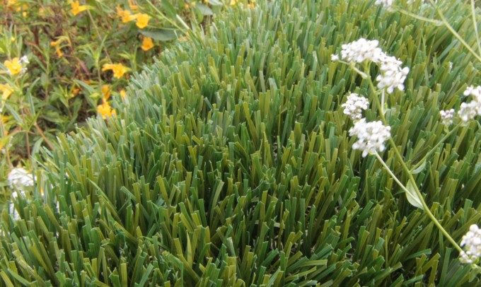Double S-72 syntheticgrass Artificial Grass Vista California