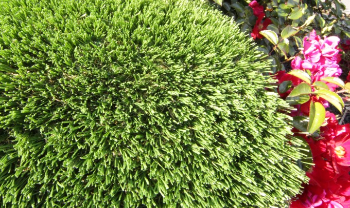 Hollow Blade-73 syntheticgrass Artificial Grass Vista California