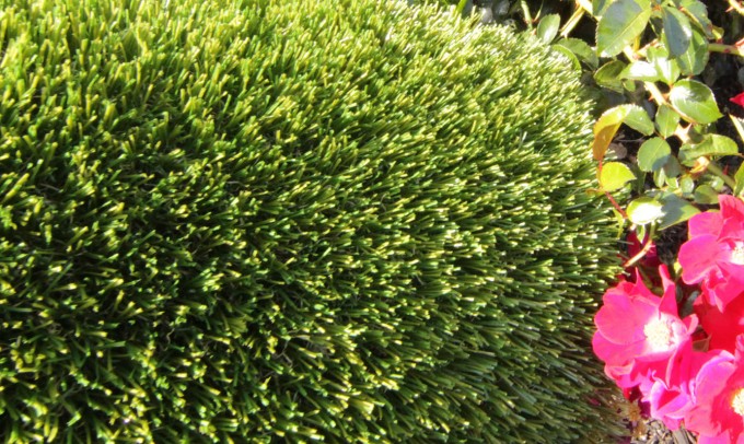V Blade-77 syntheticgrass Artificial Grass Vista California