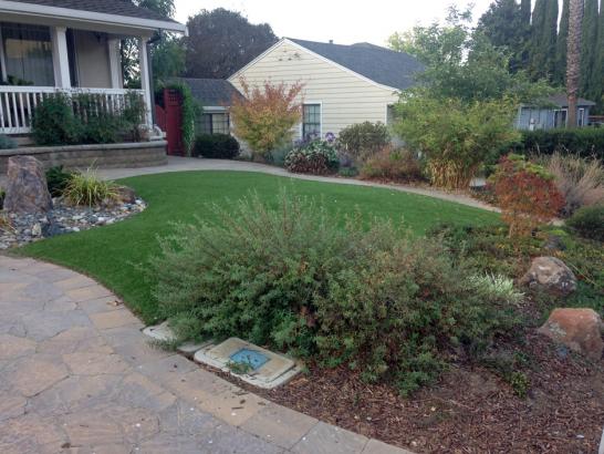 Artificial Grass Photos: Turf Grass Citrus, California Landscape Ideas, Front Yard Design